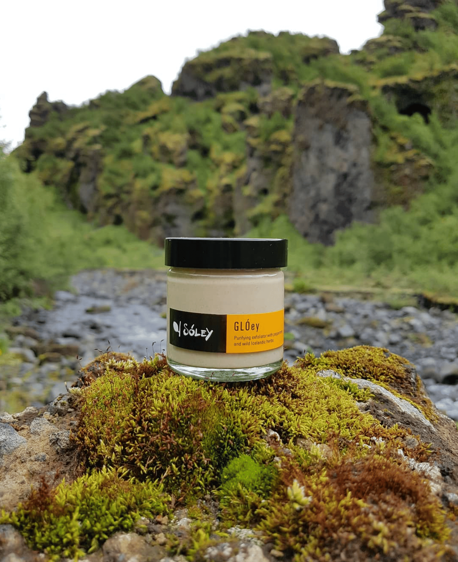 Soley-Organics-Exfoliator-Nordic-Natural-Beauty-Awards-Winner-Icelandic-Herbs