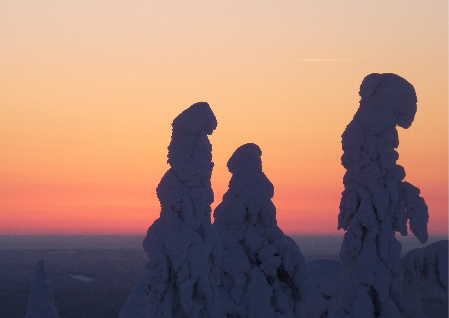 nordic nature winter landscape sunset natural beauty